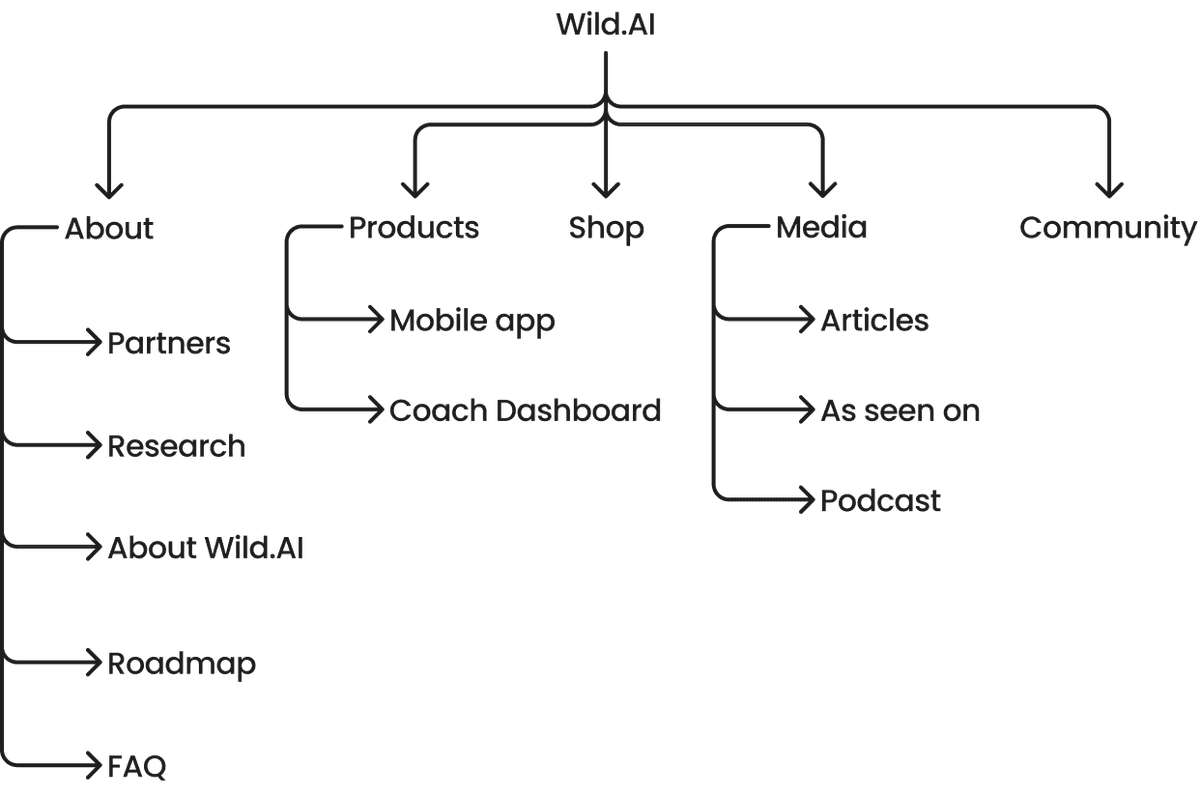 New information architecture: user-focused, 5 core sections